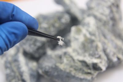 Asbestos Inspection Service in Old Bridge, NJ