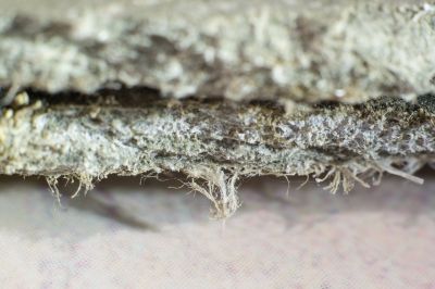 Asbestos Remediation in Essex County, NJ