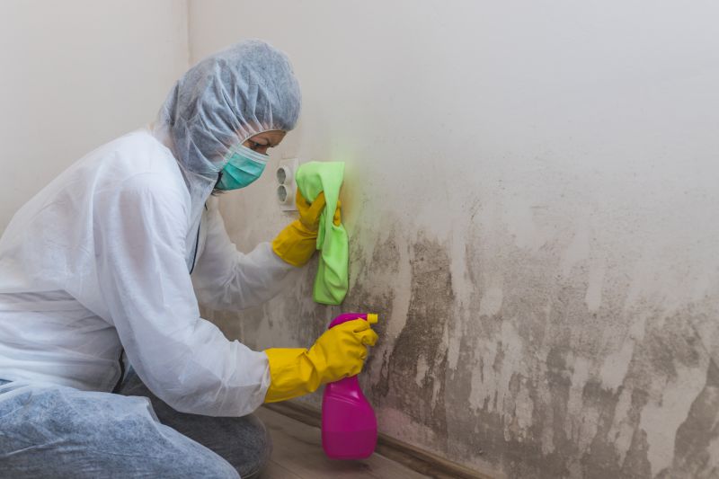 Attic Mold Removal in Fort Worth, TX
