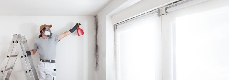 Basement Mold Remediation in Essex County, NJ