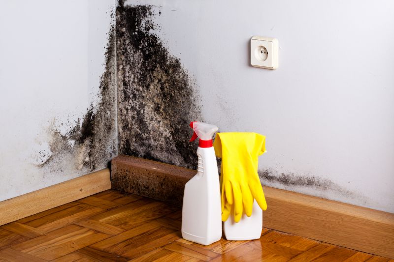 Basement Mold Removal in Fort Lauderdale, FL