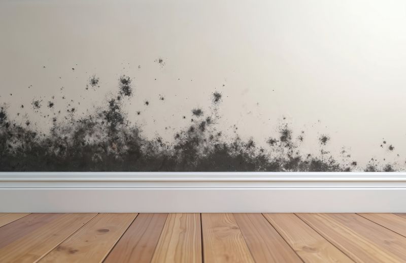 Basement Mold Removal in Dallas, TX