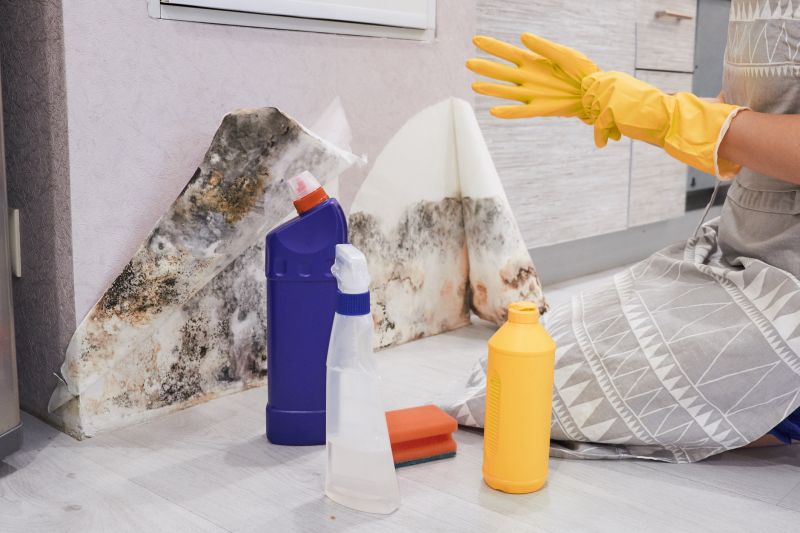 Black Mold Remediation in Boca Raton, FL