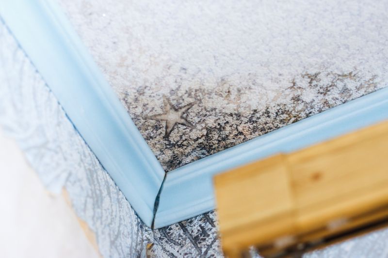 Black Mold Remediation in Essex County, NJ