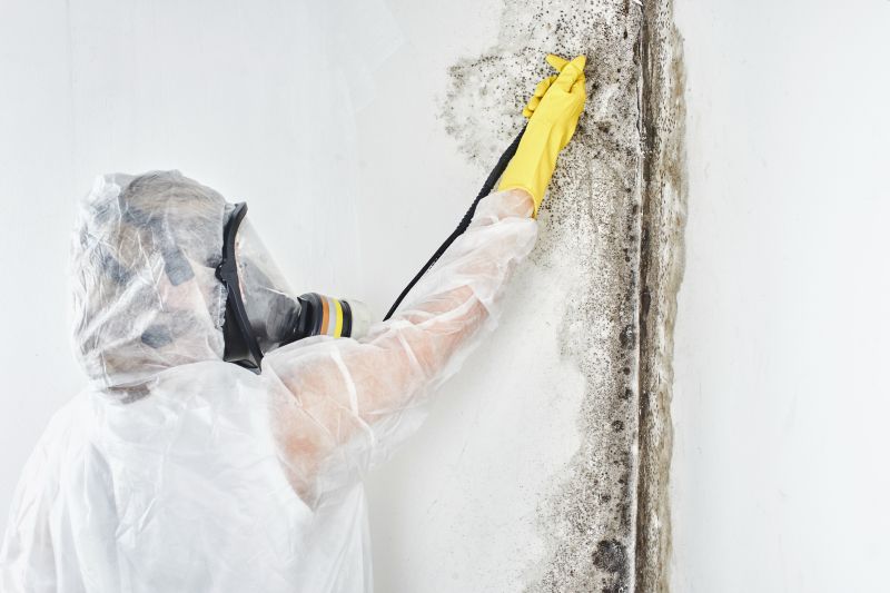 Black Mold Removal in Frisco, TX