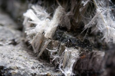 Asbestos Testing Costs — Cost of Asbestos Testing