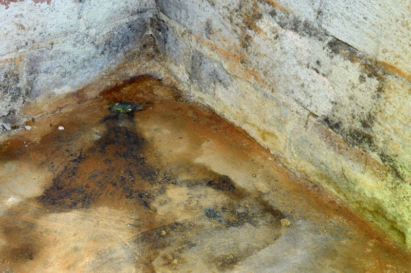 Crawl Space Mold Removal in Bergen County, NJ