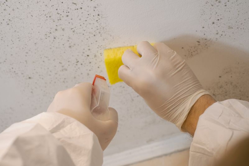 Crawlspace Mold Remediation in Essex County, NJ