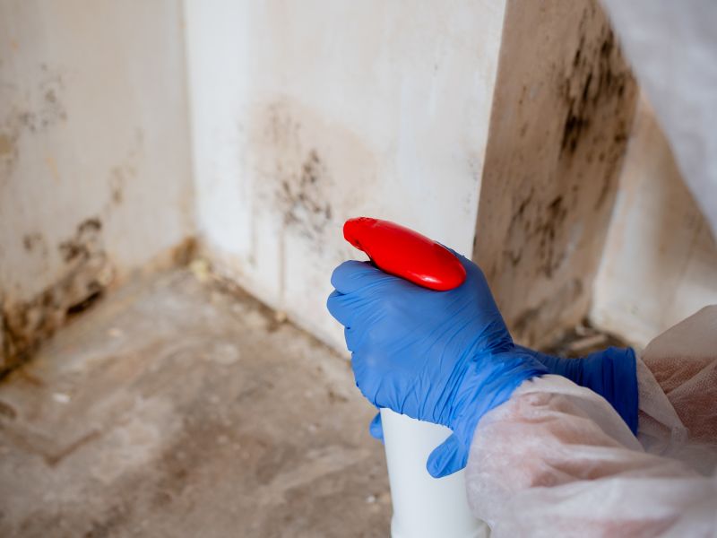 Garage Mold Remediation in Jupiter, FL