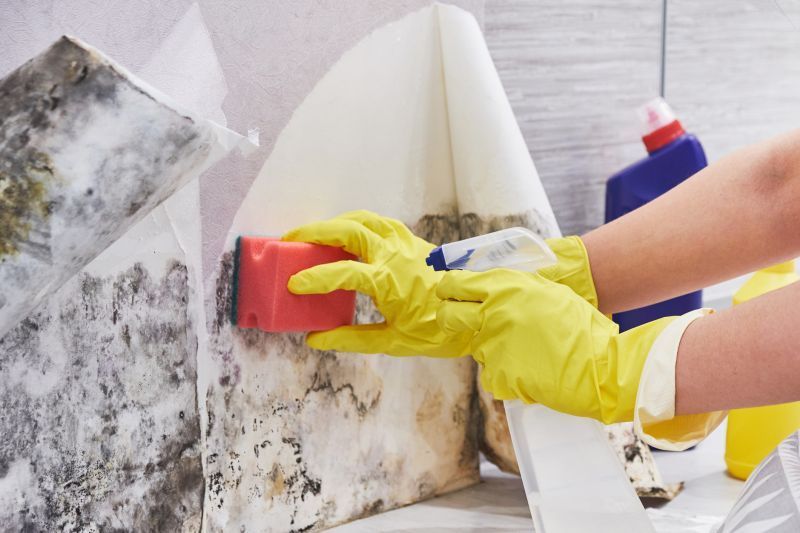 Mold Abatement Service in Broward County, FL