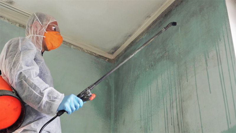 Mold Abatement Service in Fort Worth, TX