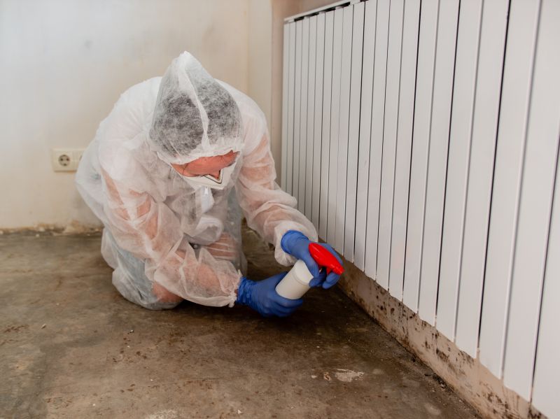 Mold Cleanup Service in Fort Lauderdale, FL