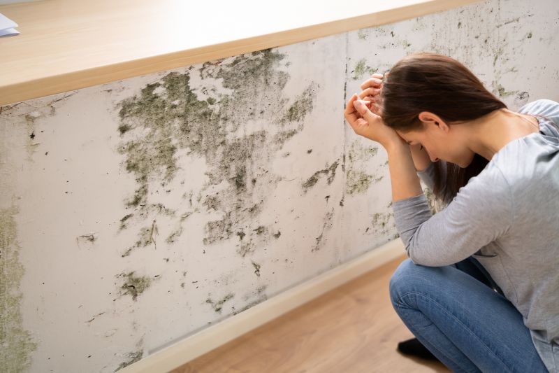 Mold Control in Arlington, TX