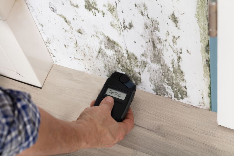 Mold Detection in Rockwall, TX