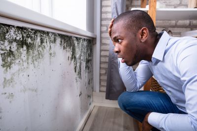 Mold Inspection And Removal in Pompano Beach, FL