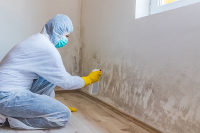 Mold Mitigation Service in Dallas, TX