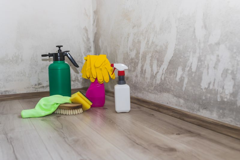 Mold Mitigation Service in Dallas, TX