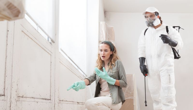 Mold Remediation Service in Bergen County, NJ