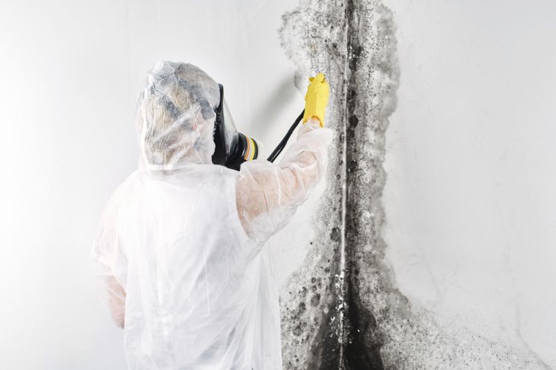 Mold Removal in Jupiter, FL