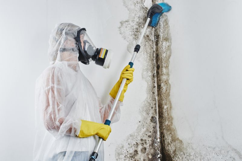 Mold Restoration in Frisco, TX