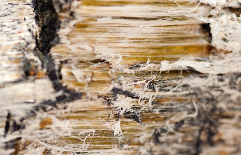 Vermiculite Remediation in Somerset County, NJ