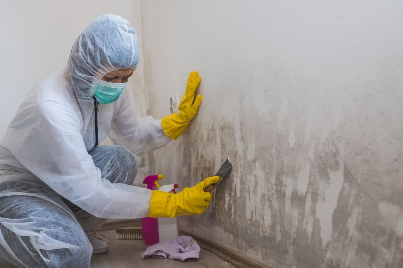 White Mold Mitigation in Essex County, NJ
