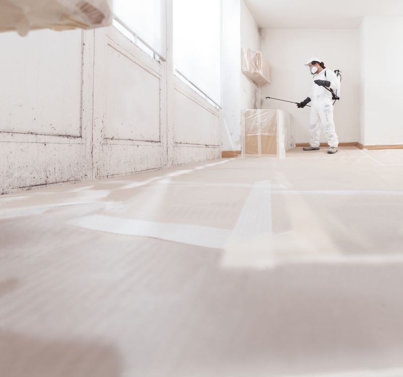 White Mold Mitigation in Fort Lauderdale, FL