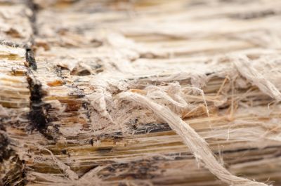 Remove Asbestos in Vermiculite Insulation