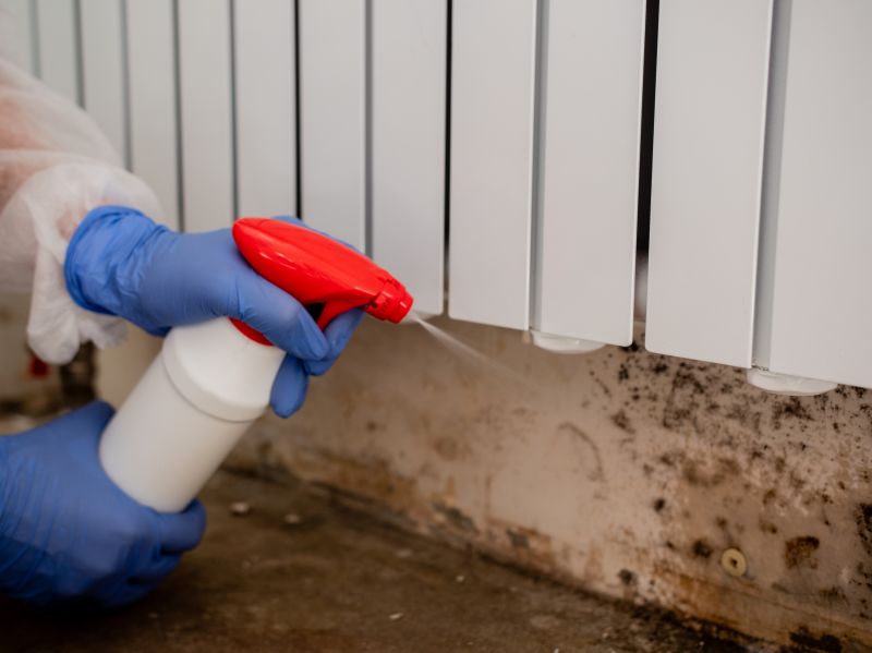 Attic Mold Removal in Frisco, TX