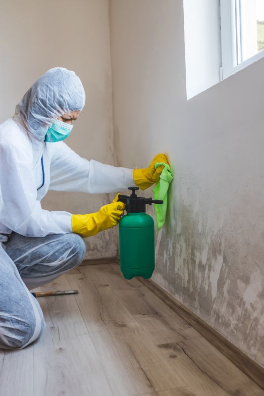 Mold Mitigation Service in Jupiter, FL
