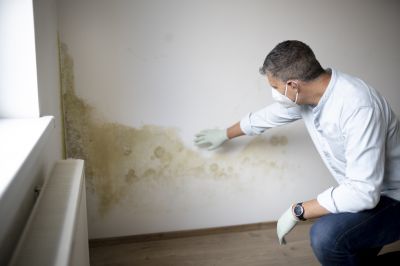 Mold Remediation Service in West Palm Beach, FL